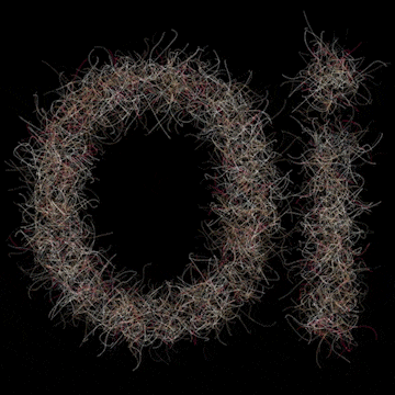 oi test