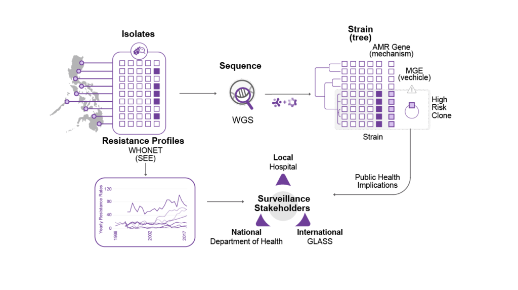 process map of genomic surveillance across Philippines. 