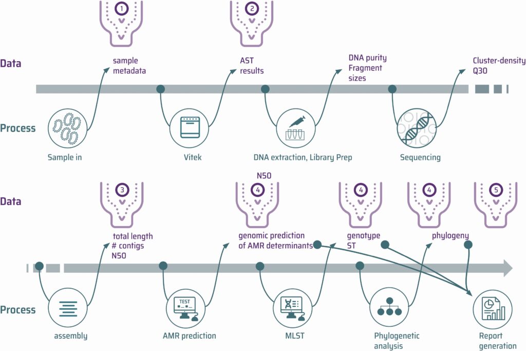 WHO publication diagram